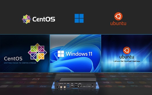 Windows 11 IoT