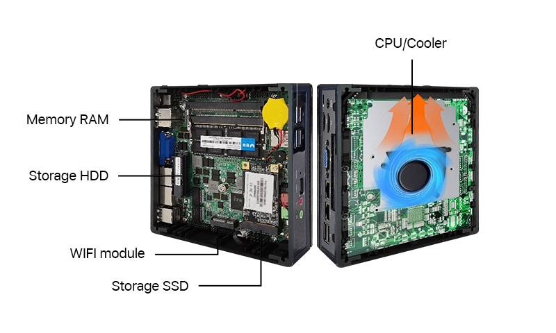 科普文章3 插图3.jpg
